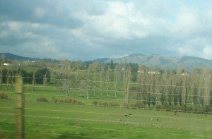 Scenery on the way to Mt. Ruapeho, NZ's largest skiing area