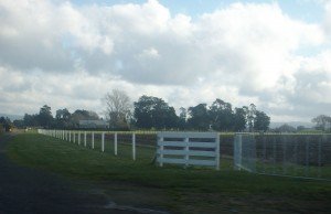 A photo of a farm taken on the way to Hamilton, NZ